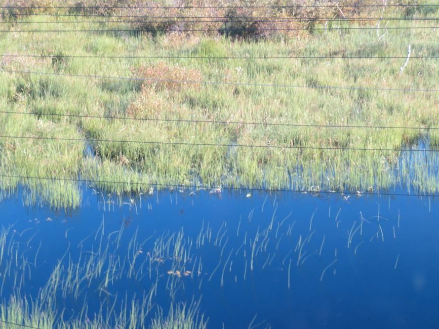 Lago en la mañana