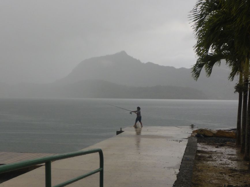 Bei Regen beißen sie besser