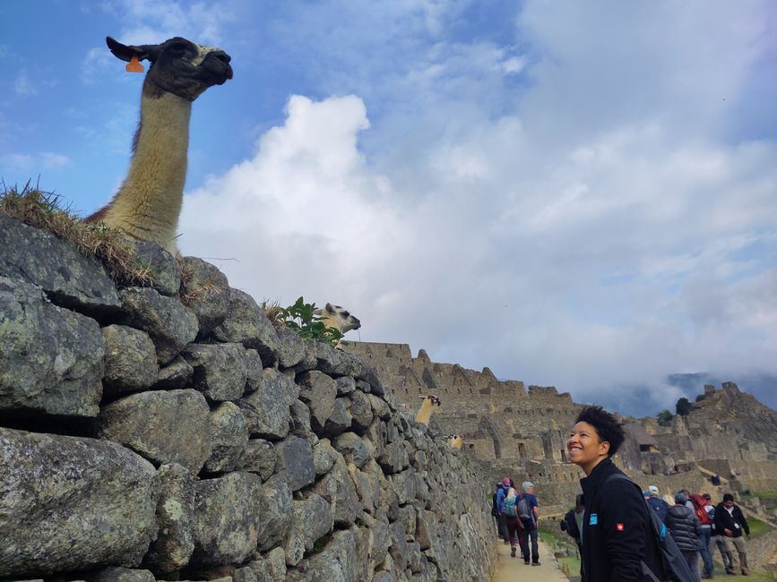 Cusco, Lares-Trek und Machu Picchu