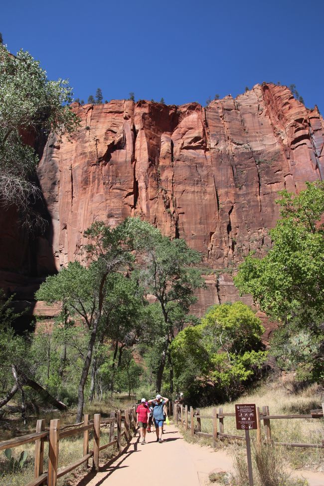 Zion NP