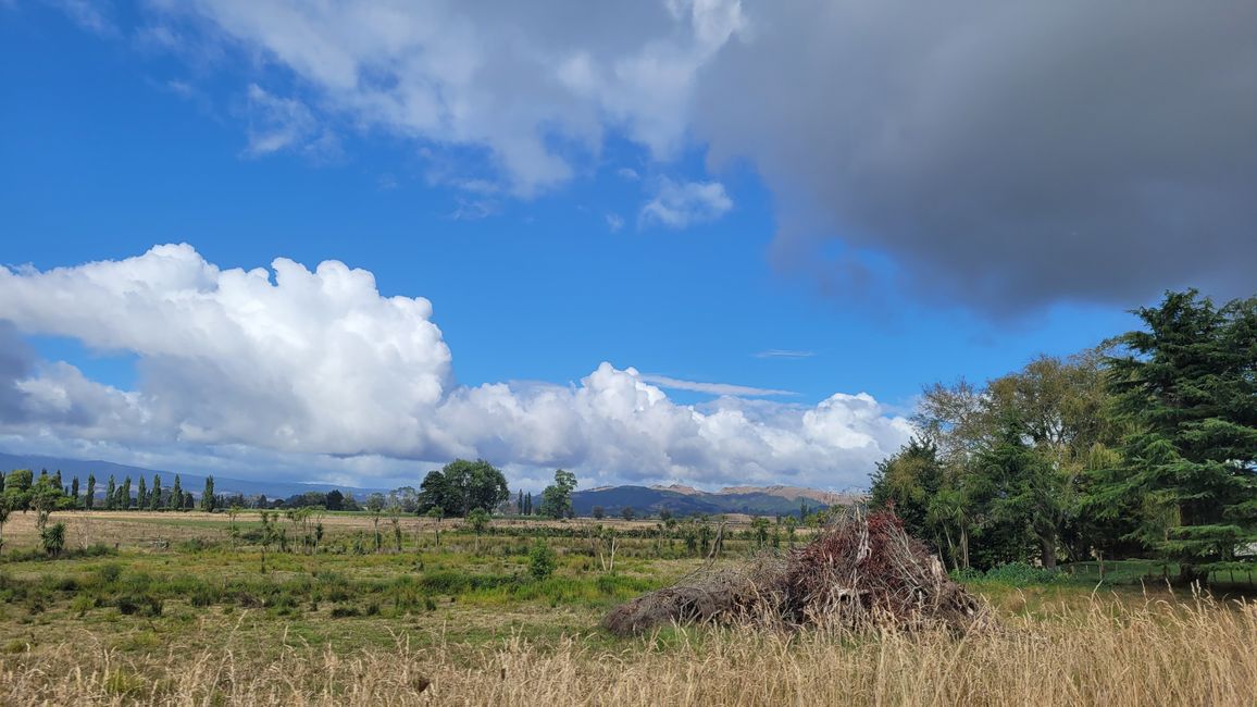 29.Januar-27.Februar 2025 Neuseeland
20.Januar