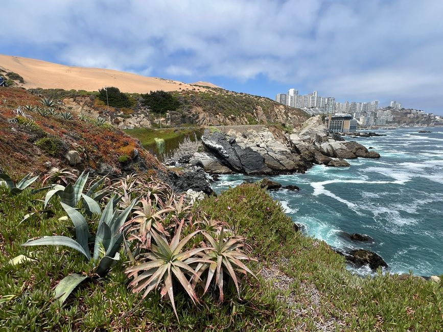 🛠️👨‍💻Giorni 44-47 (20-23 novembre) Viña del Mar / Concón