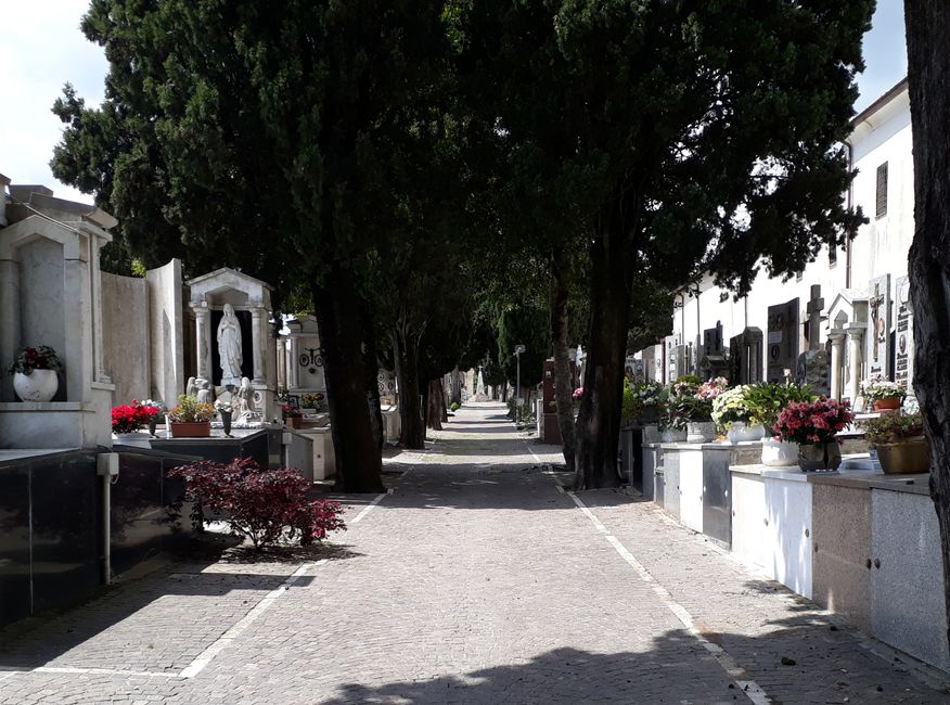 Der Friedhof von Tolfa