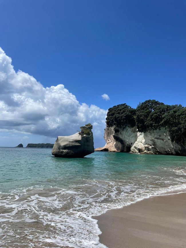 There are places that you absolutely have to see: Cathedral Cove in Hahei