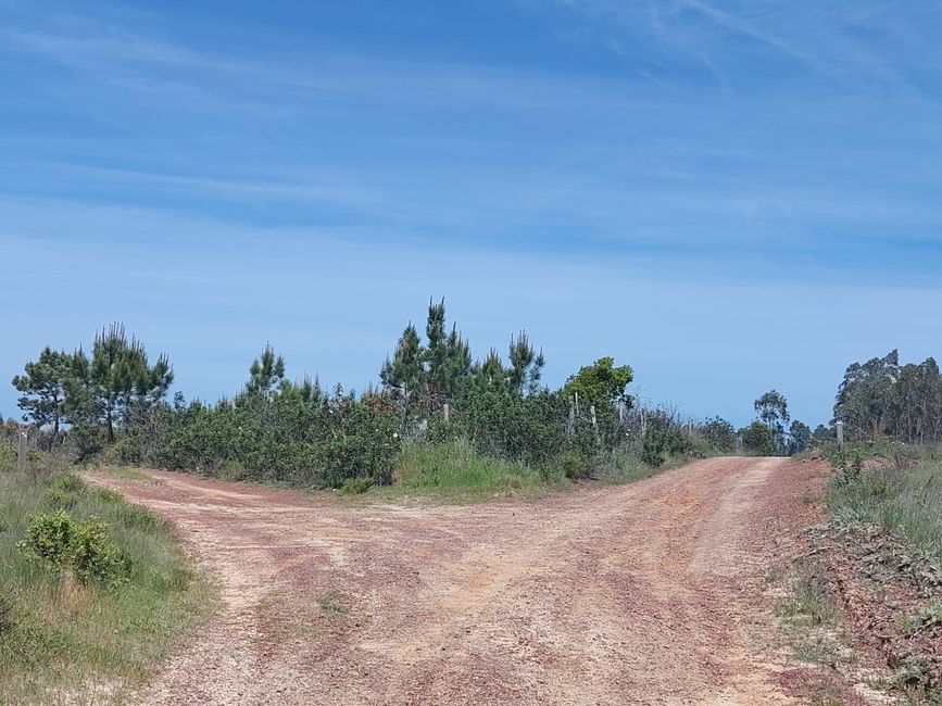 Aljezur -> Odeceixe