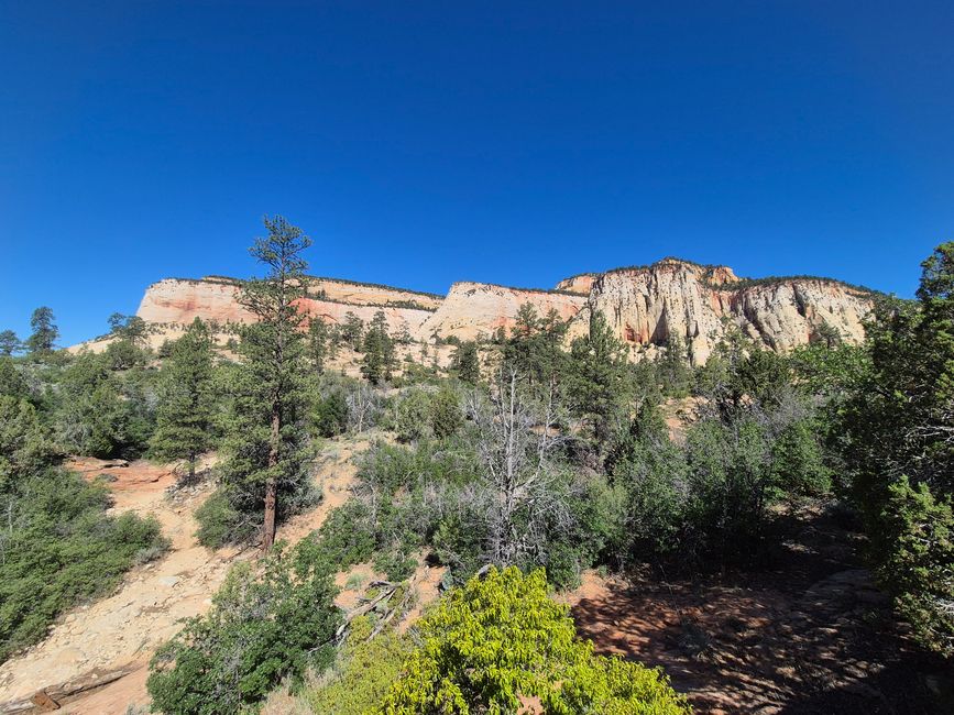 Zion Nationalpark
