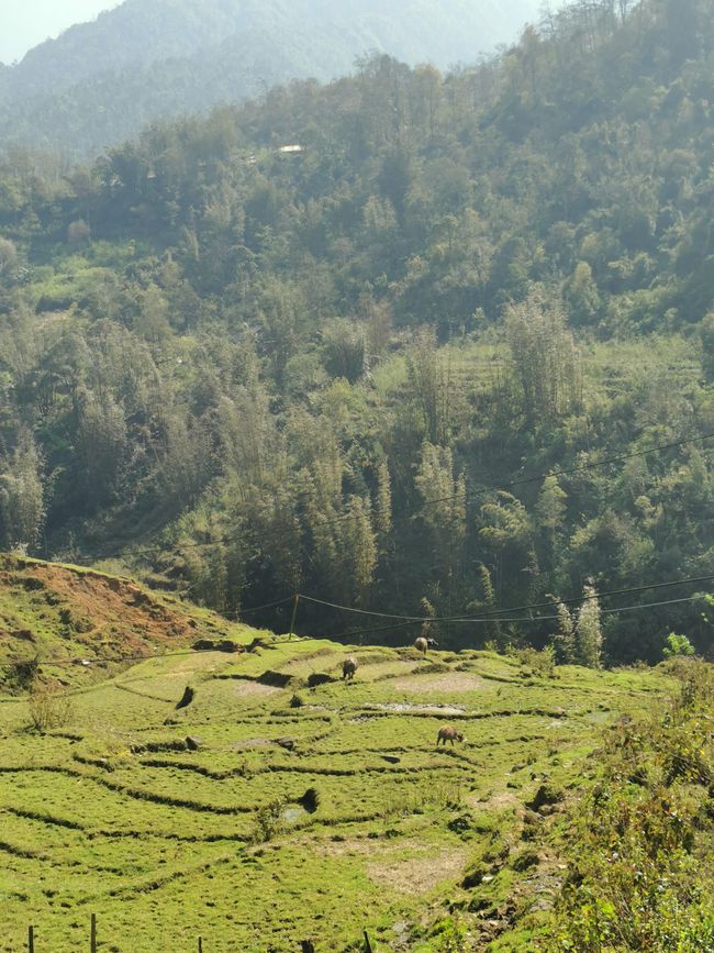 Wanderung in SaPa zum Cát-Cát-Village und den Wasserfällen