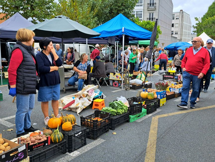 Mercadillo 