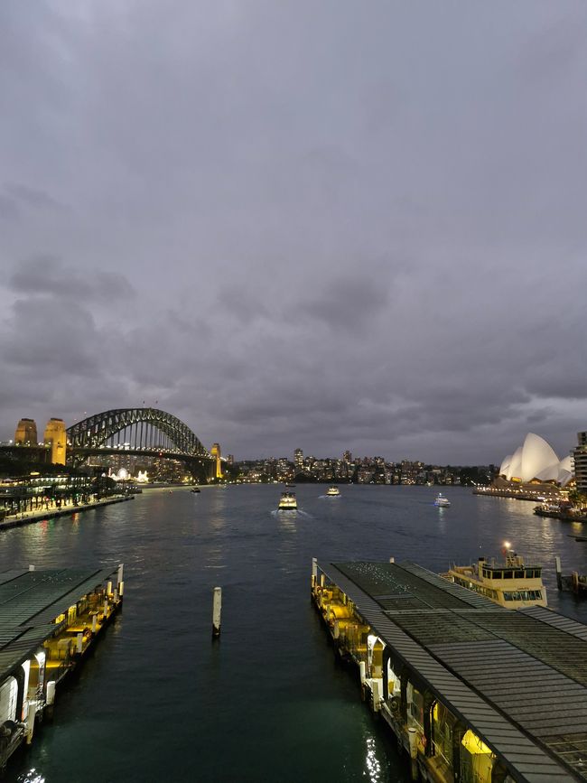 Sydney Botanical Gardens & Luna New Year