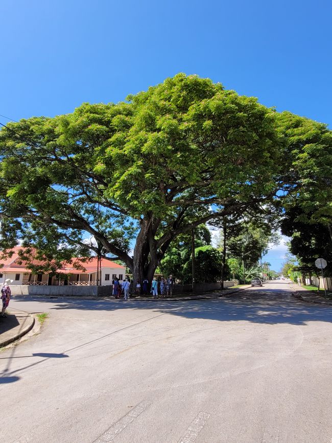 Giorno 71 e 72 di 175: Crociera intorno al mondo - Nuku'alofa/Tonga