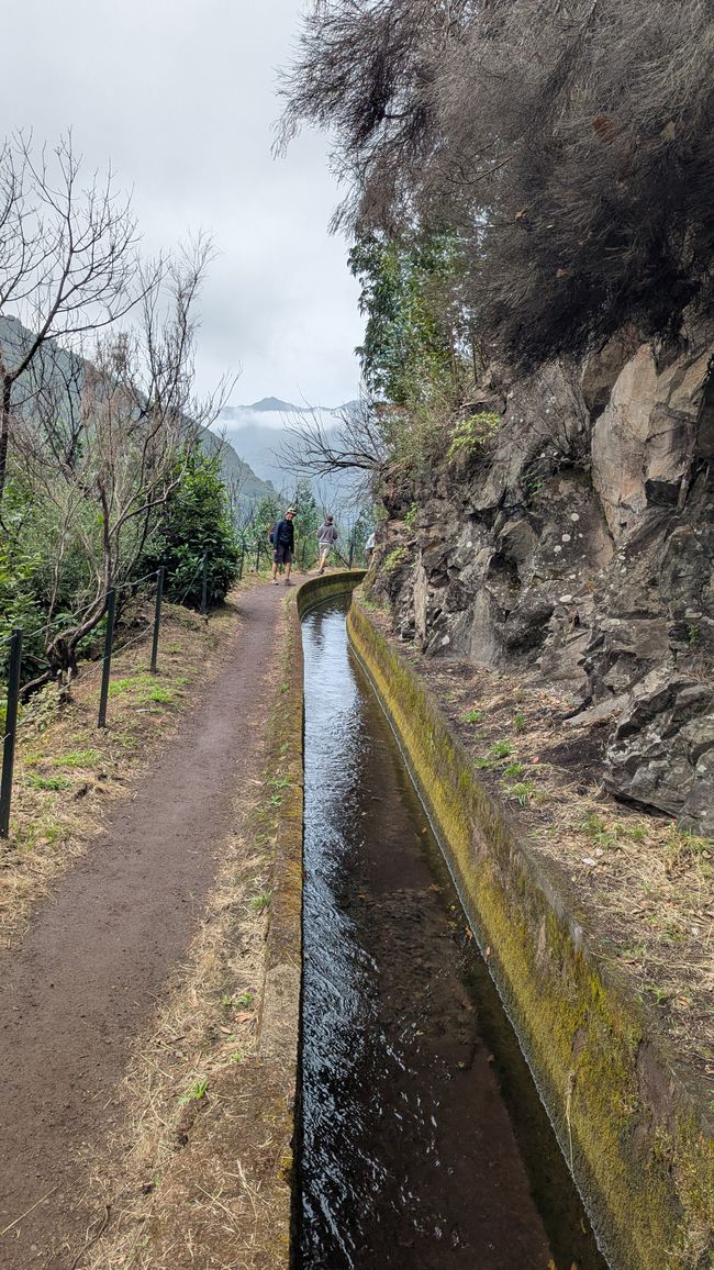 Tag 13: Levada da Ribeira da Janela & Nordwestküste