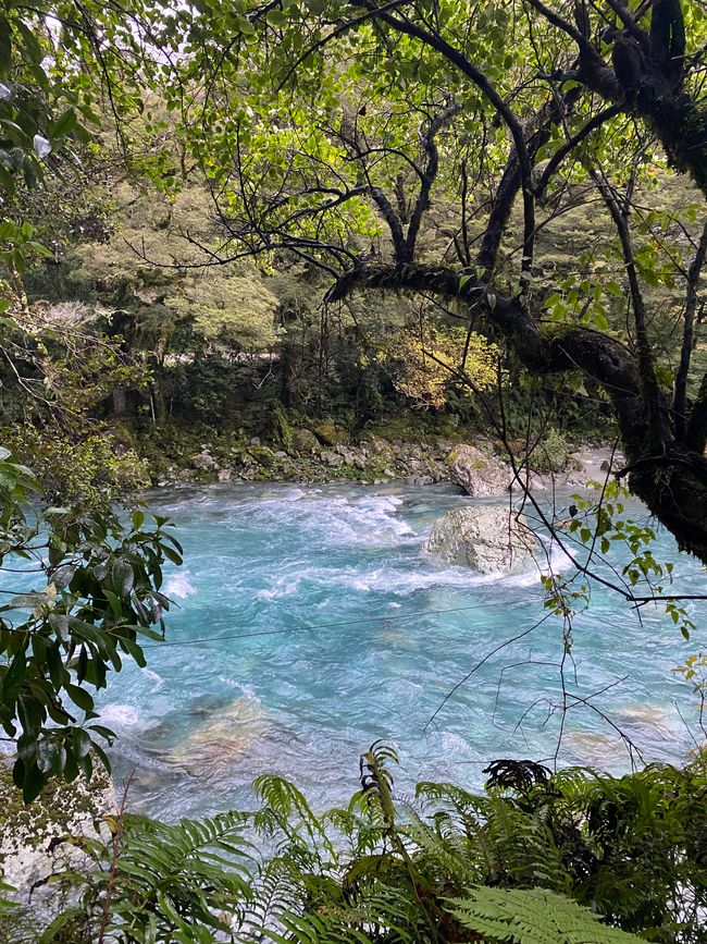 Road trip to Milford Sound