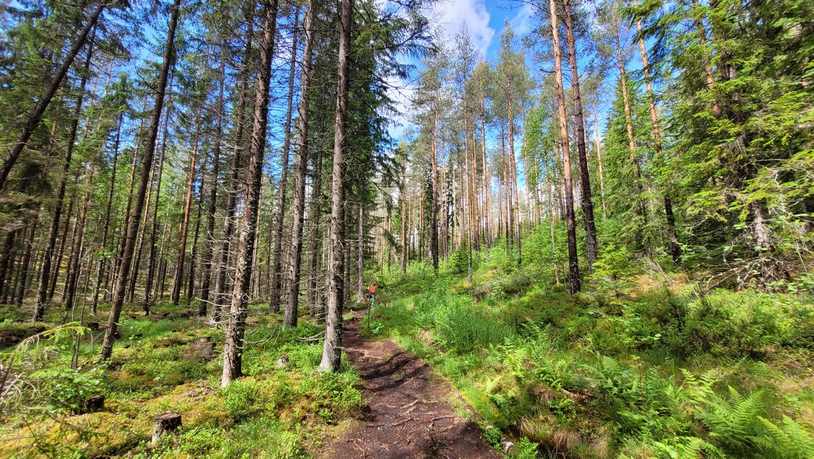 Finnland 31.Mai-14.Juni 2024/10.Juni