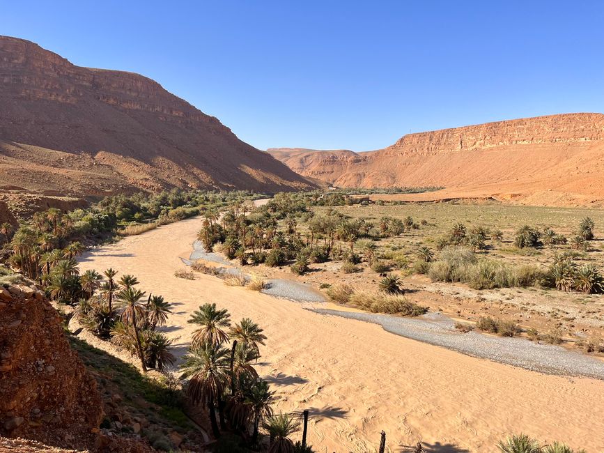 The Ziz River after the heavy rains - almost a dry wadi in summer