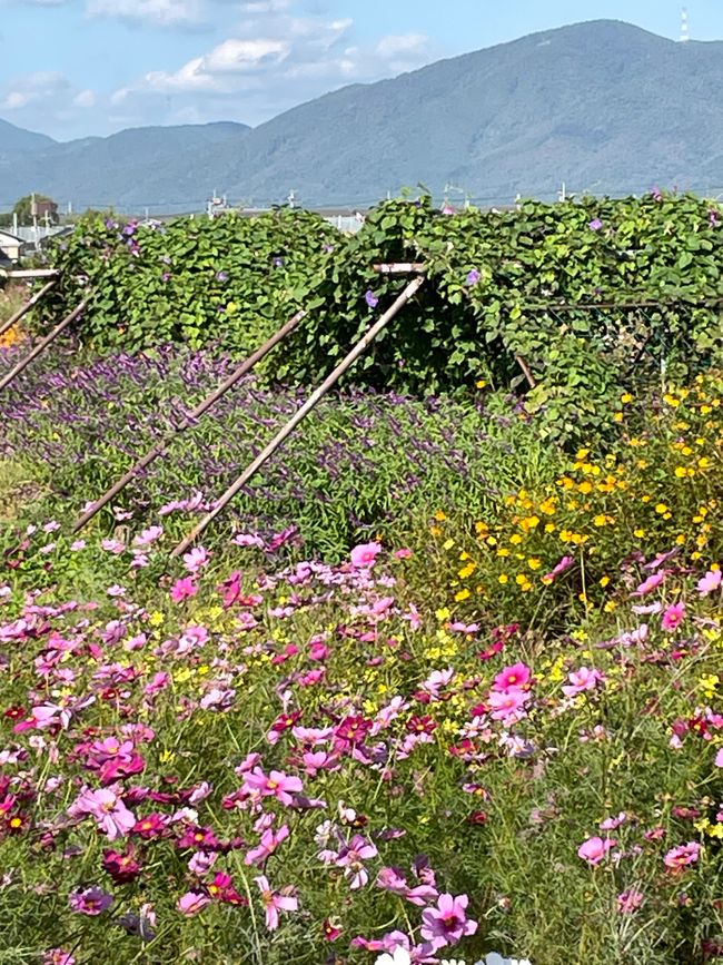 4.Kapitel: Ein bisschen vorzeitig ins Paradies