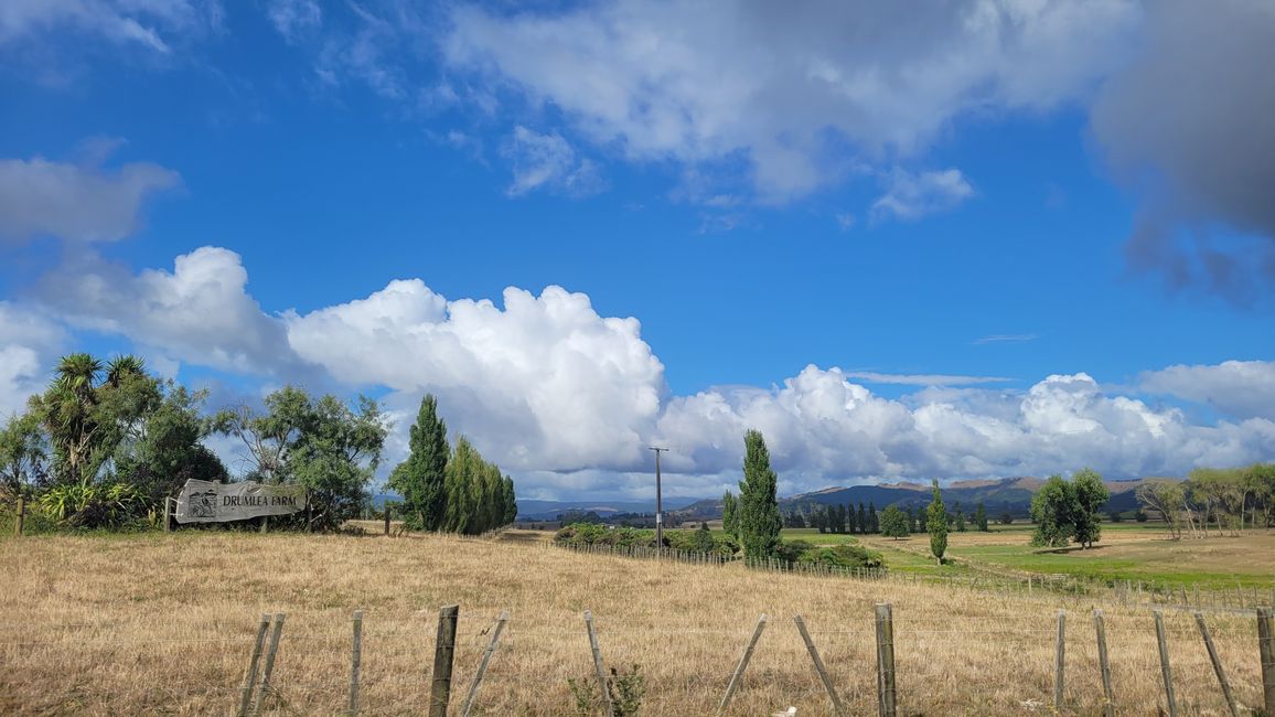 29.Januar-27.Februar 2025 Neuseeland
20.Januar