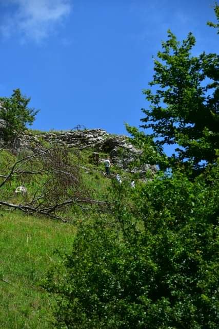 * * * Hayedo de enebro y cara de roca: una caminata en la belleza salvaje del Lochenpass * * *