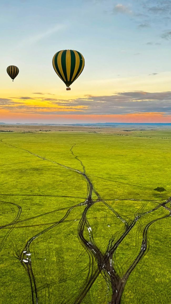 Luftballong över Masai Mara