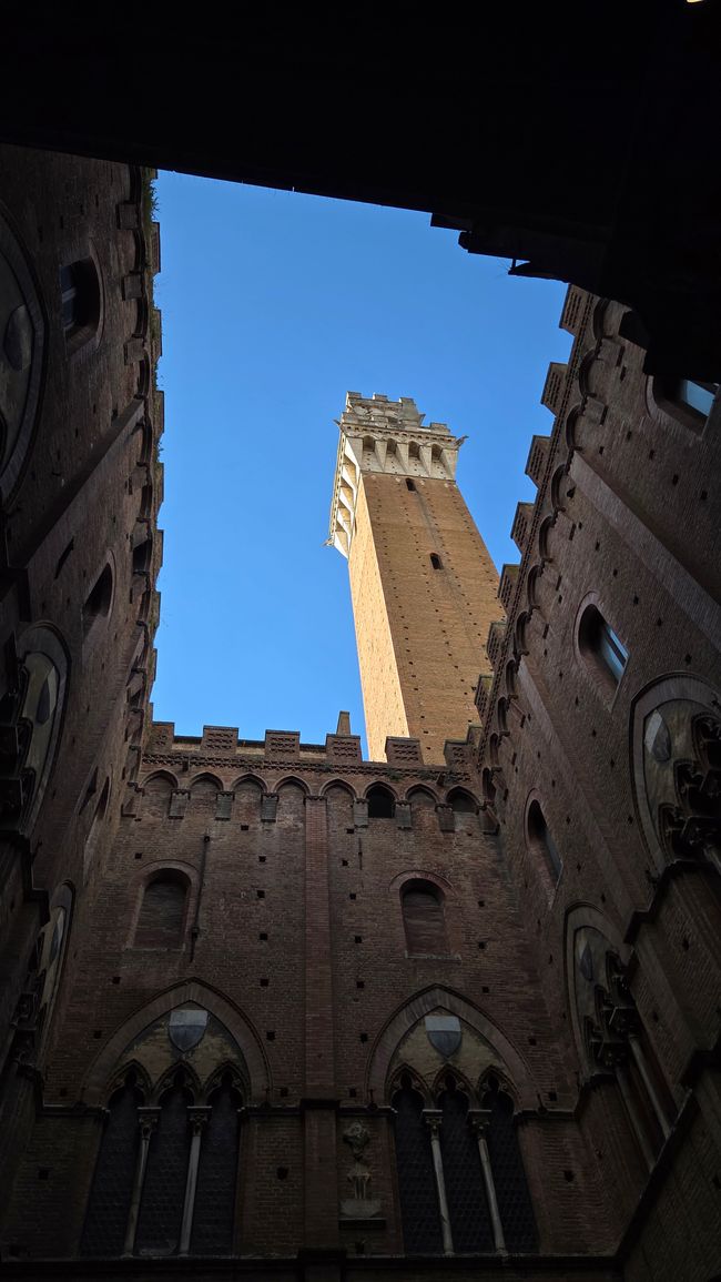 Torre del Mangia depuis la cour