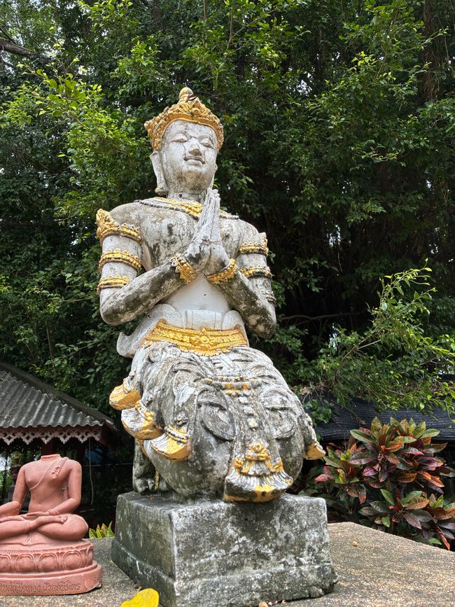 Chiang Mai