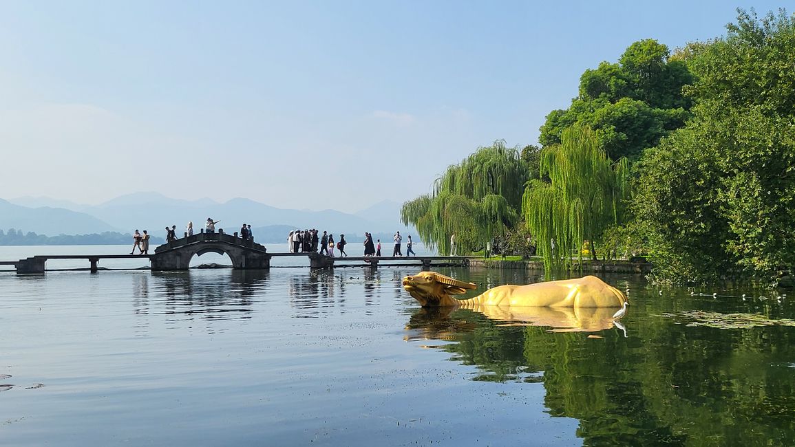 Búfalo dorado en el Lago Oeste