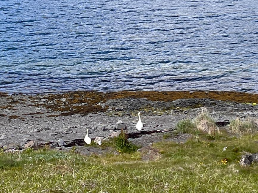 De Von Heydalur a Drangsnes