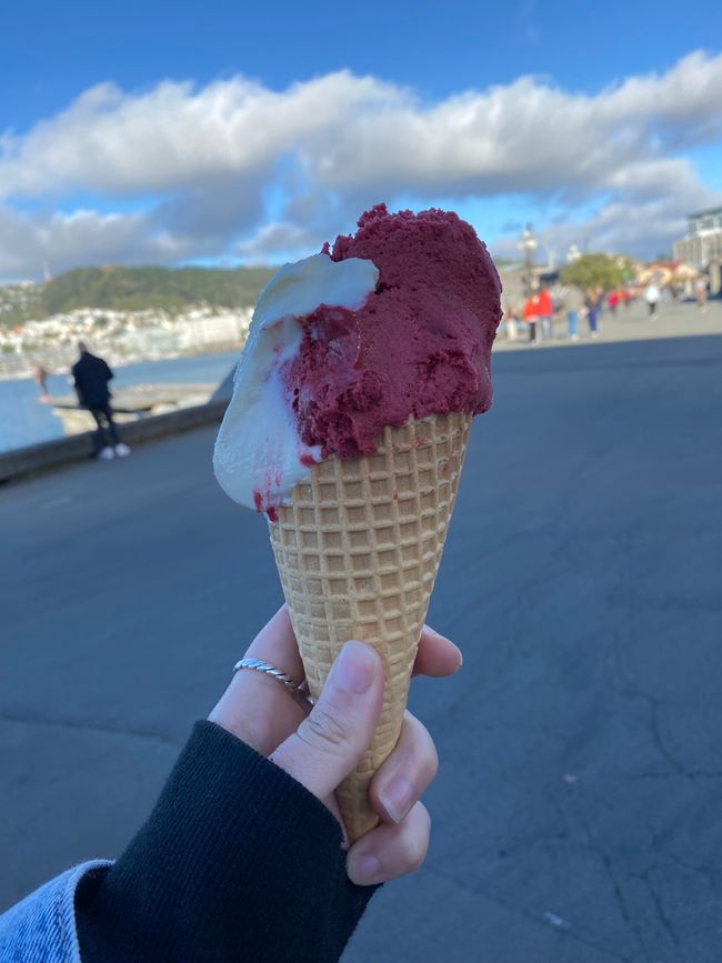 Tour de la ciudad = helado