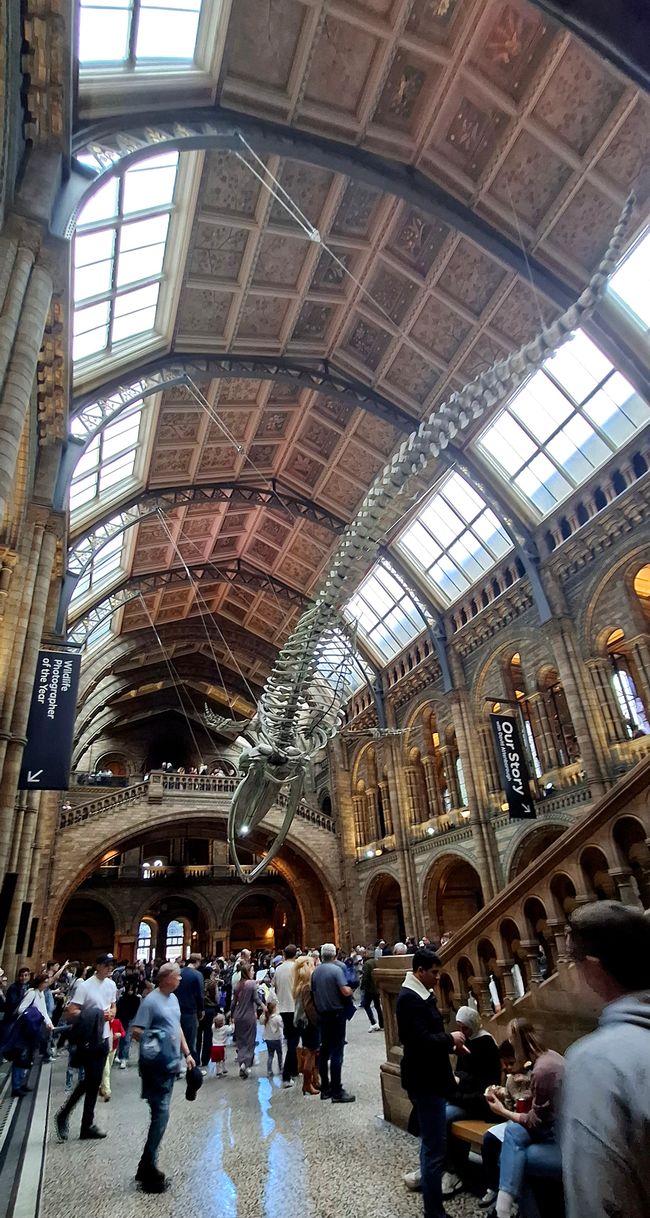Tag 8 - Londres -> Stromberg