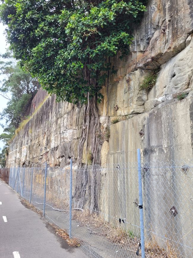 Tag 97/98 (Sydney) und 99 bis 101 (Seetage) von 175: Kreuzfahrt rund um die Welt - Sydney/Australien und Seetage