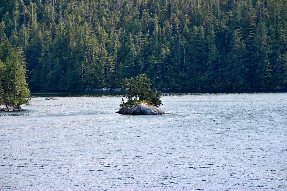 Day 13: Port Hardy - INSIDE PASSAGE  Prince Rupert