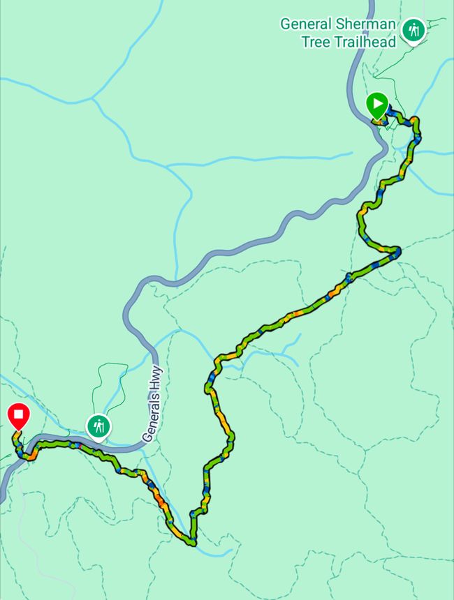 Parc national de Séquoia - Forêt géante
