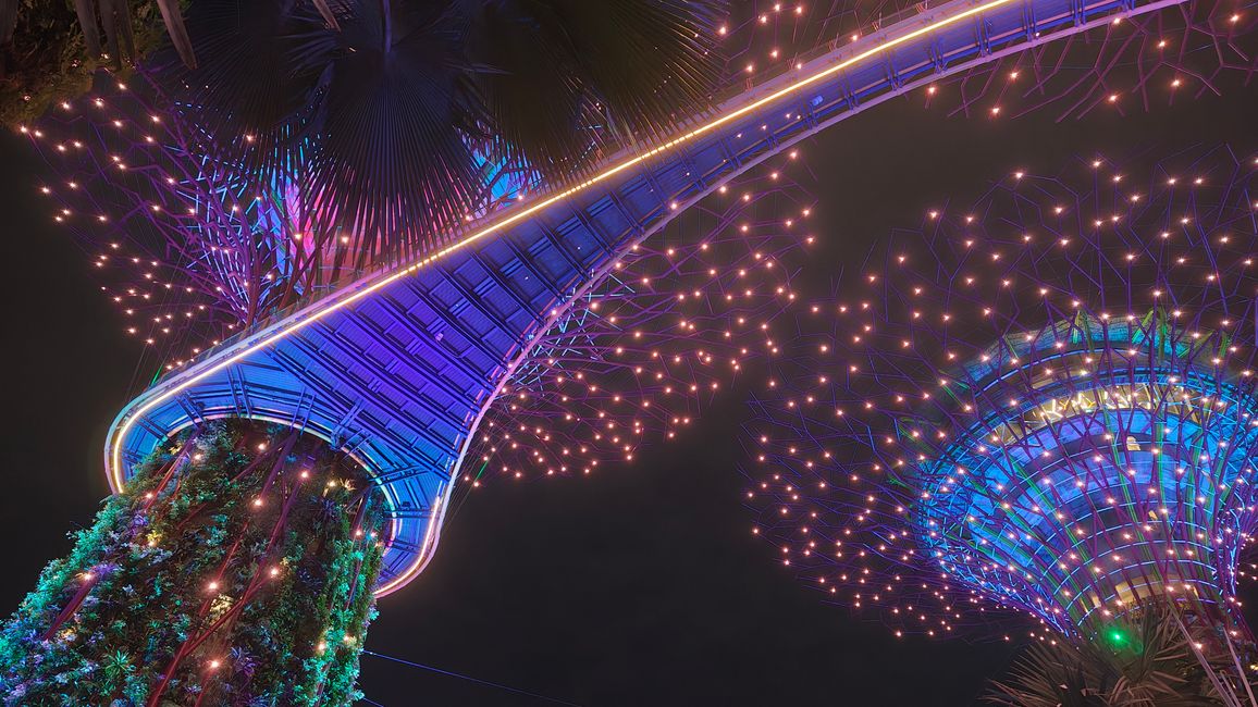 Rhapsody Show at Gardens by the Bay with the illuminated Supertrees