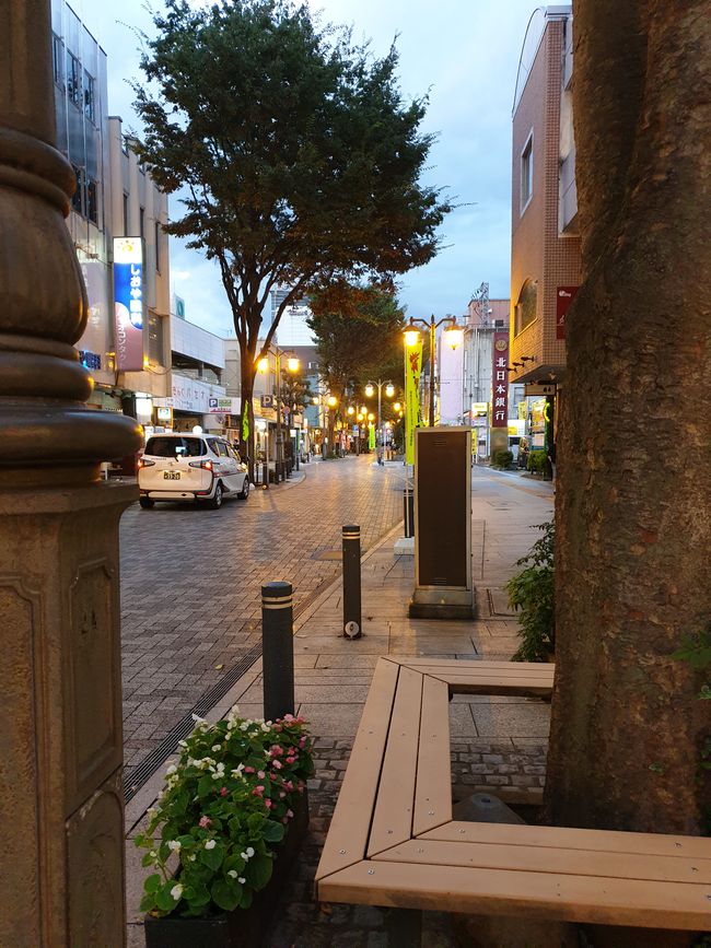 福岛市的雅致市中心
