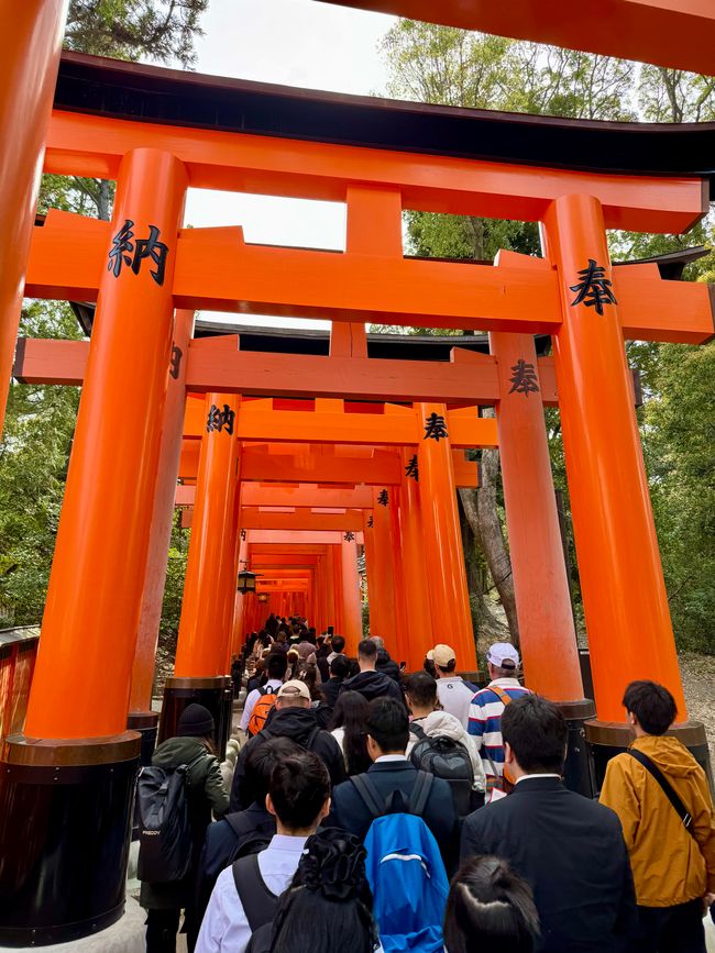 Part 8 Japan 🇯🇵 Kanazawa