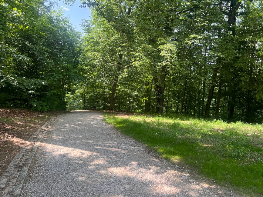 19b Domspatzen und Walhalla
