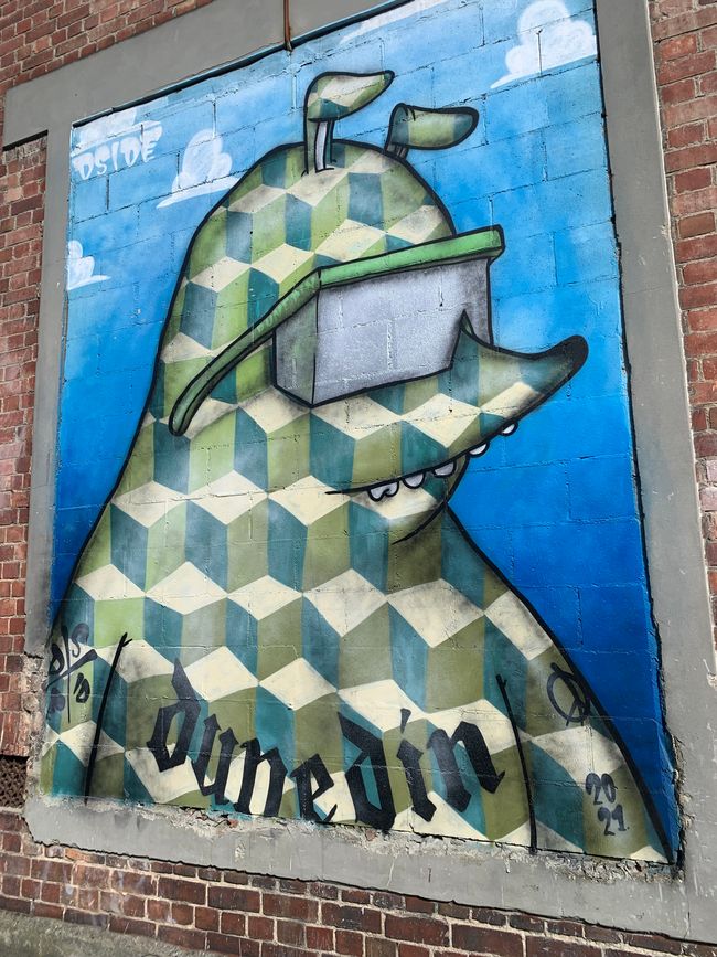 Dunedin and Taiaroa Head