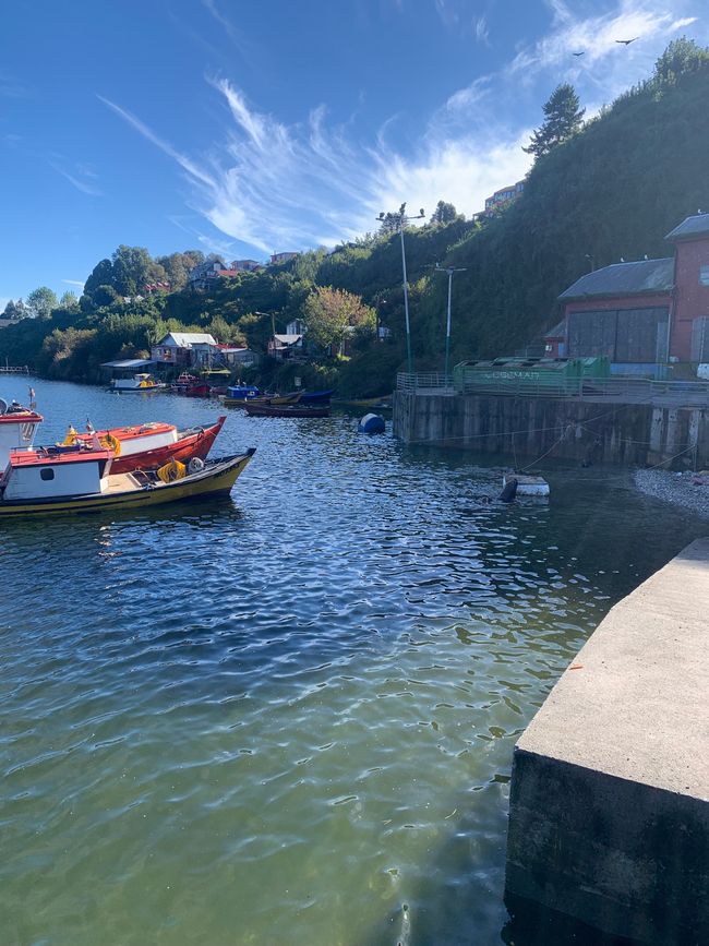 Trip nach Patagonien Teil 2: Puerto Montt bis Hornopirén