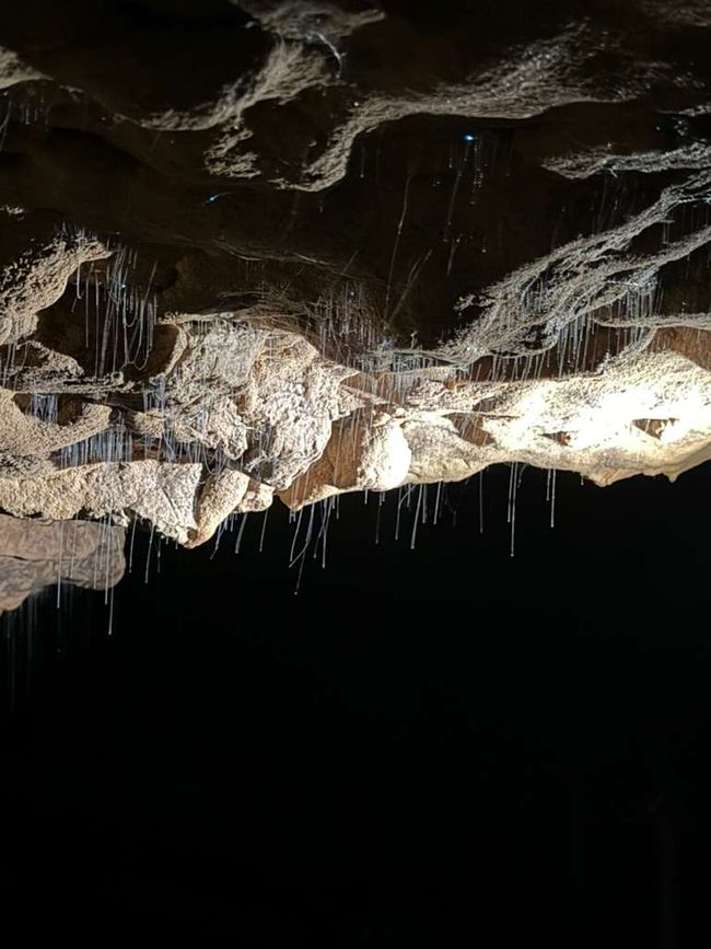 Spellbound-Glowworm-Tour 