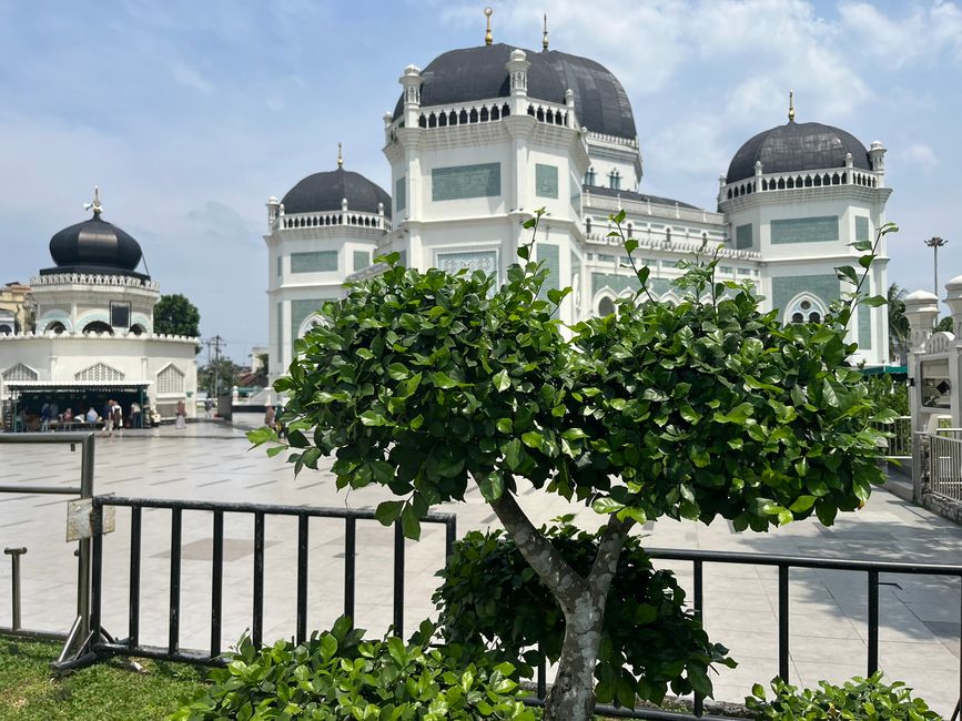 Grande Moschea