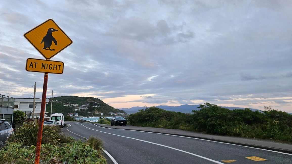 Owhiro Bay