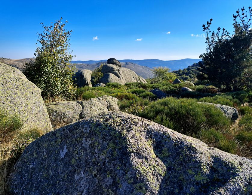 Steine im Lozére