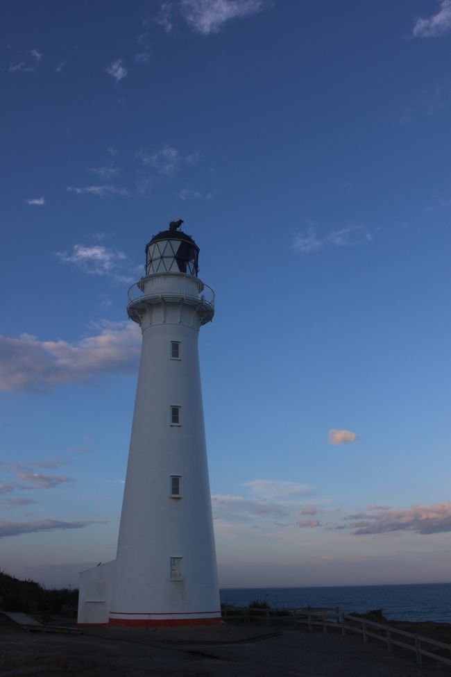 Faro de Castlepoint