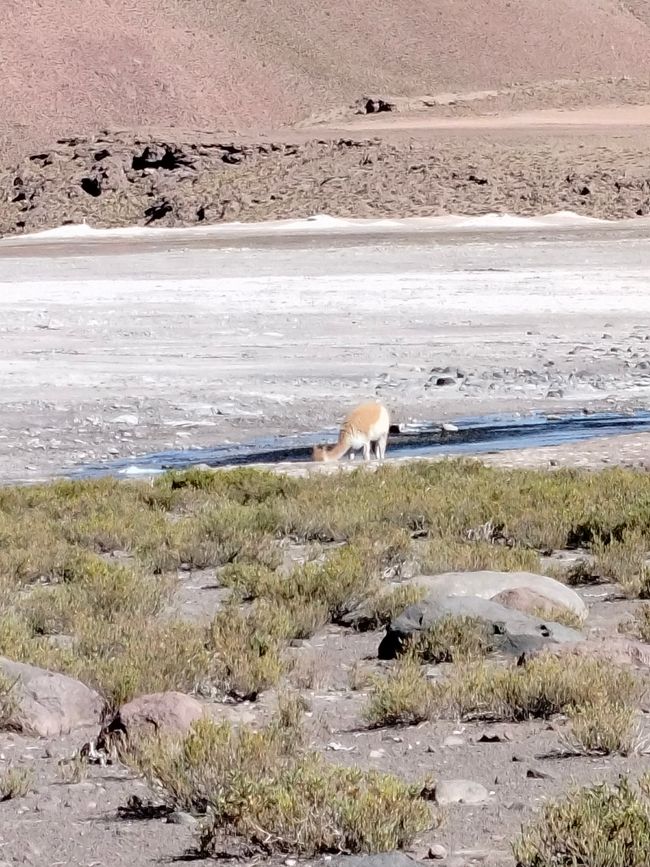 San Pedro de Atacama (Parte 2)