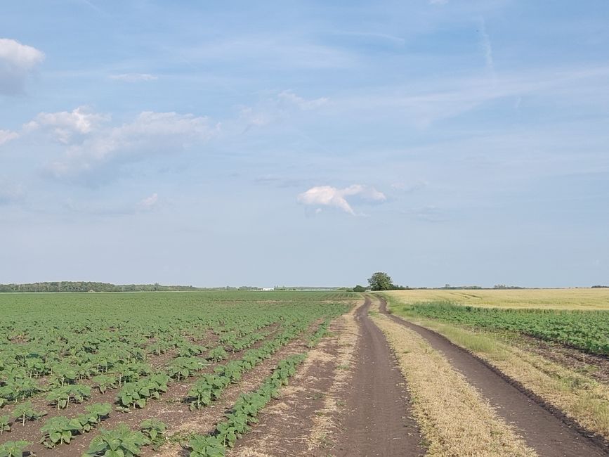 Aufbruch ins Unbekannte