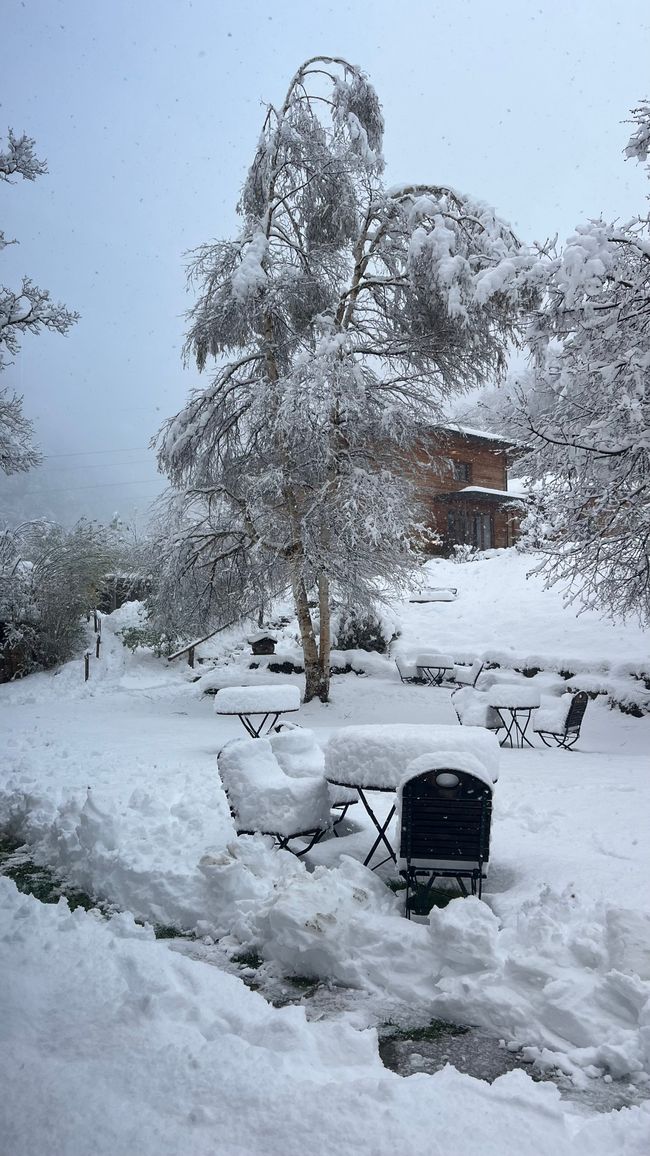 How high is the snow?