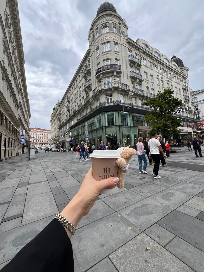 A cozy time in Vienna