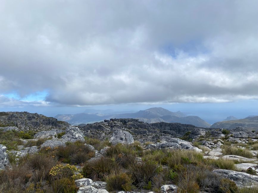 Noch kurz den Tafelberg hoch