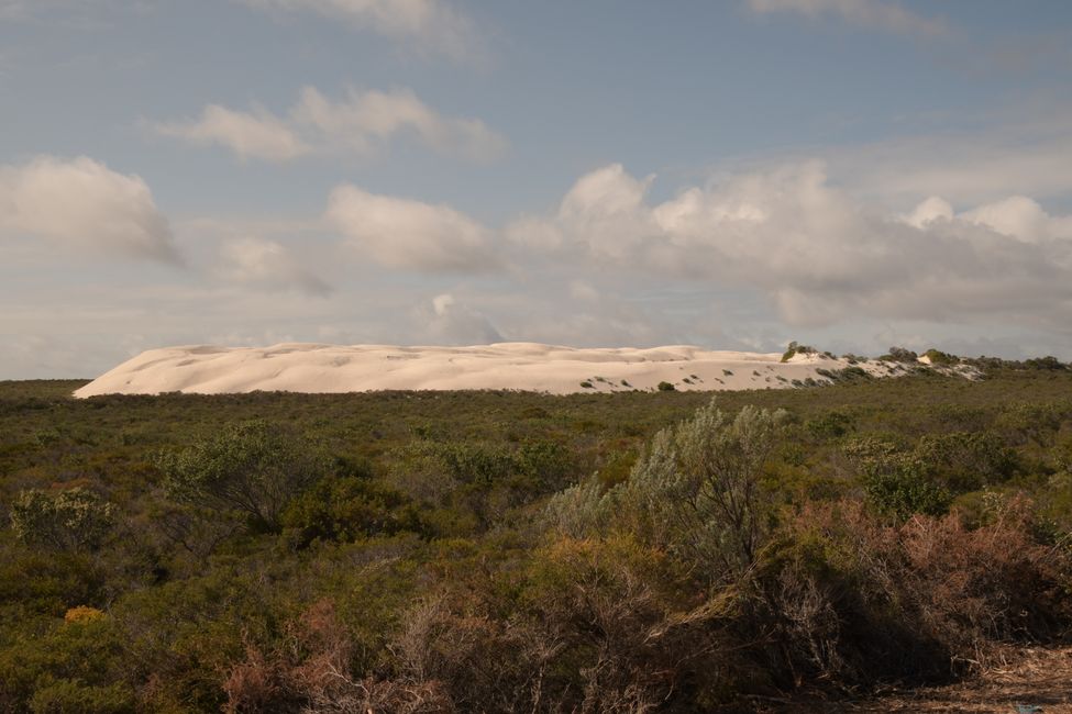 Nambung NP - Weiße Düne / White sand dune