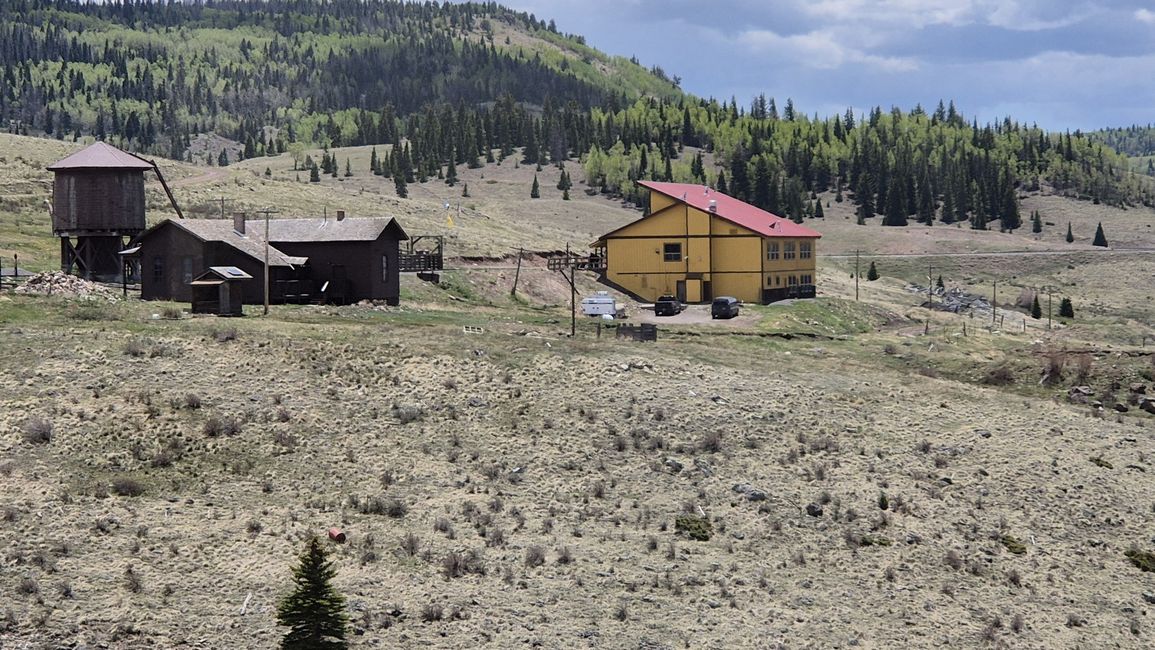 Osier