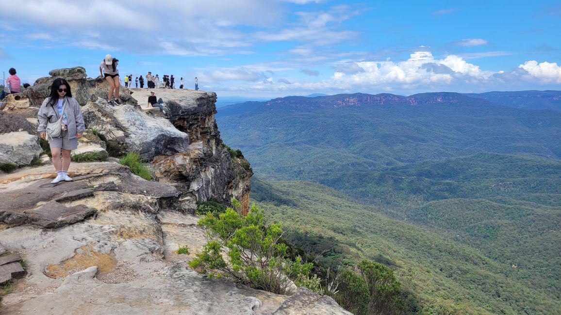 Blue Mountains – Eukalyptusbäume locken nicht nur Koalas an